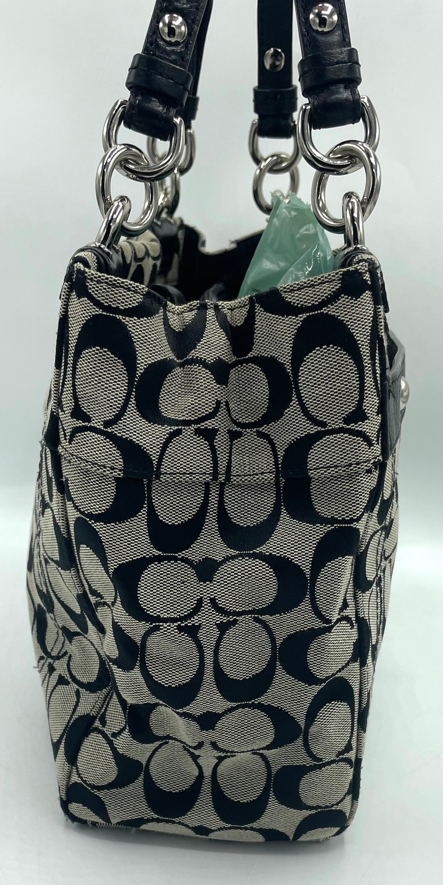 Coach Signature Penelope Carryall Tote