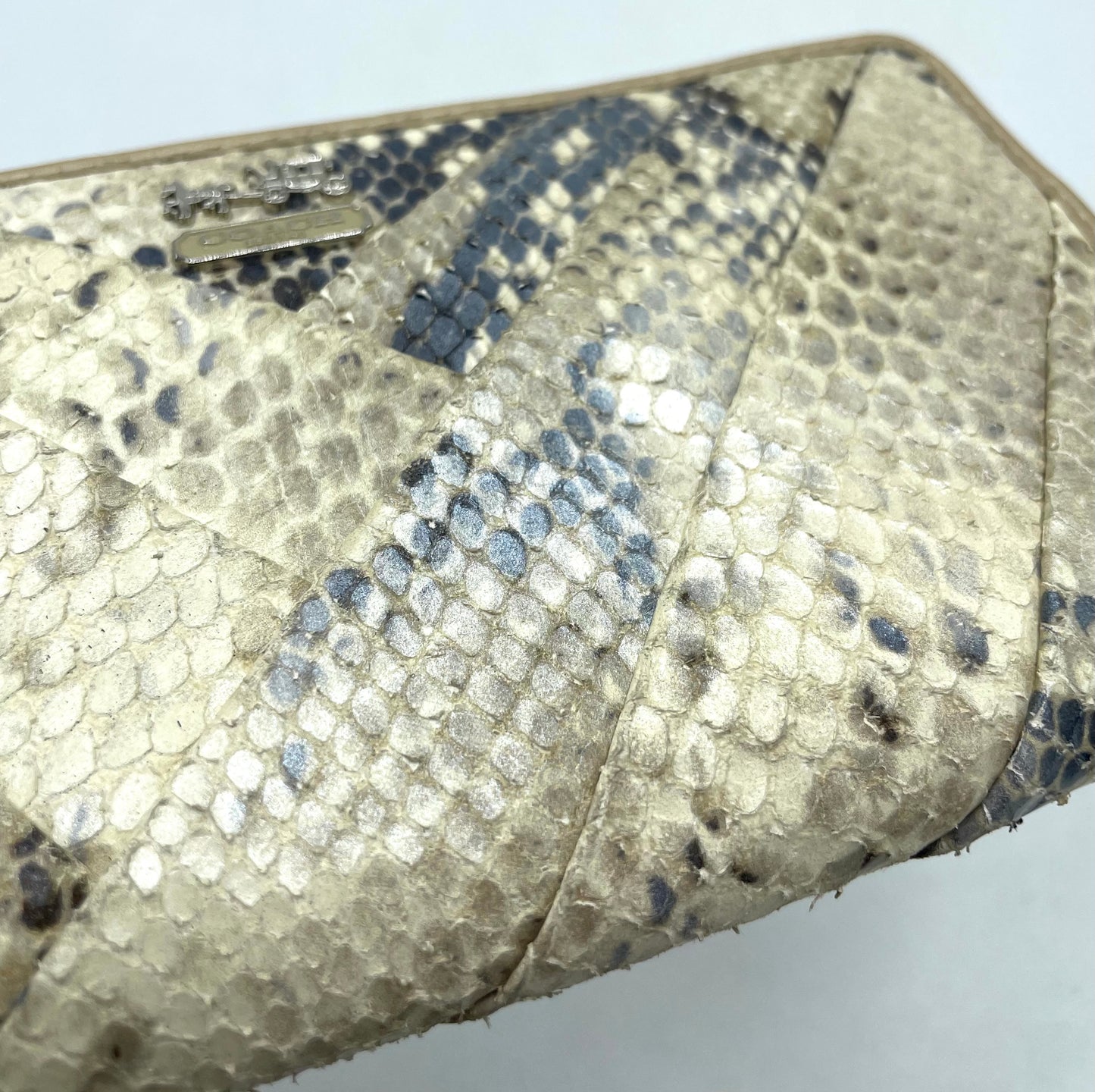 Coach Accordion Zip Wallet – Beige Iridescent Python with Pleating