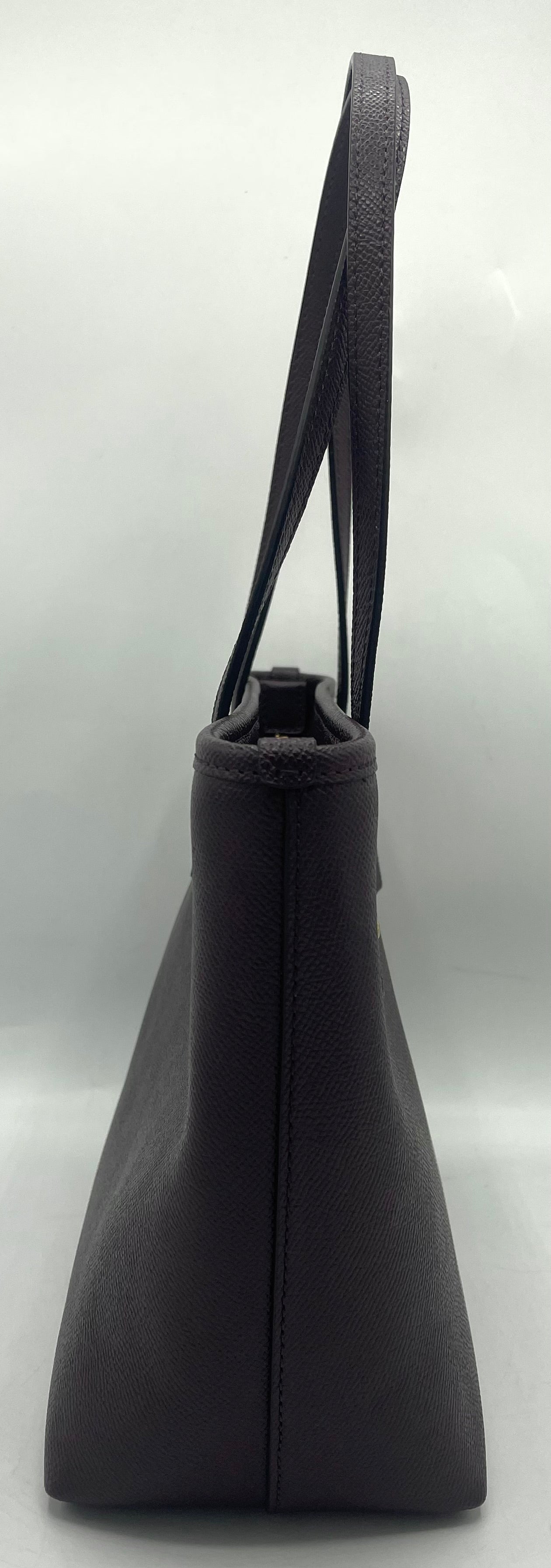 Coach Mini City Tote