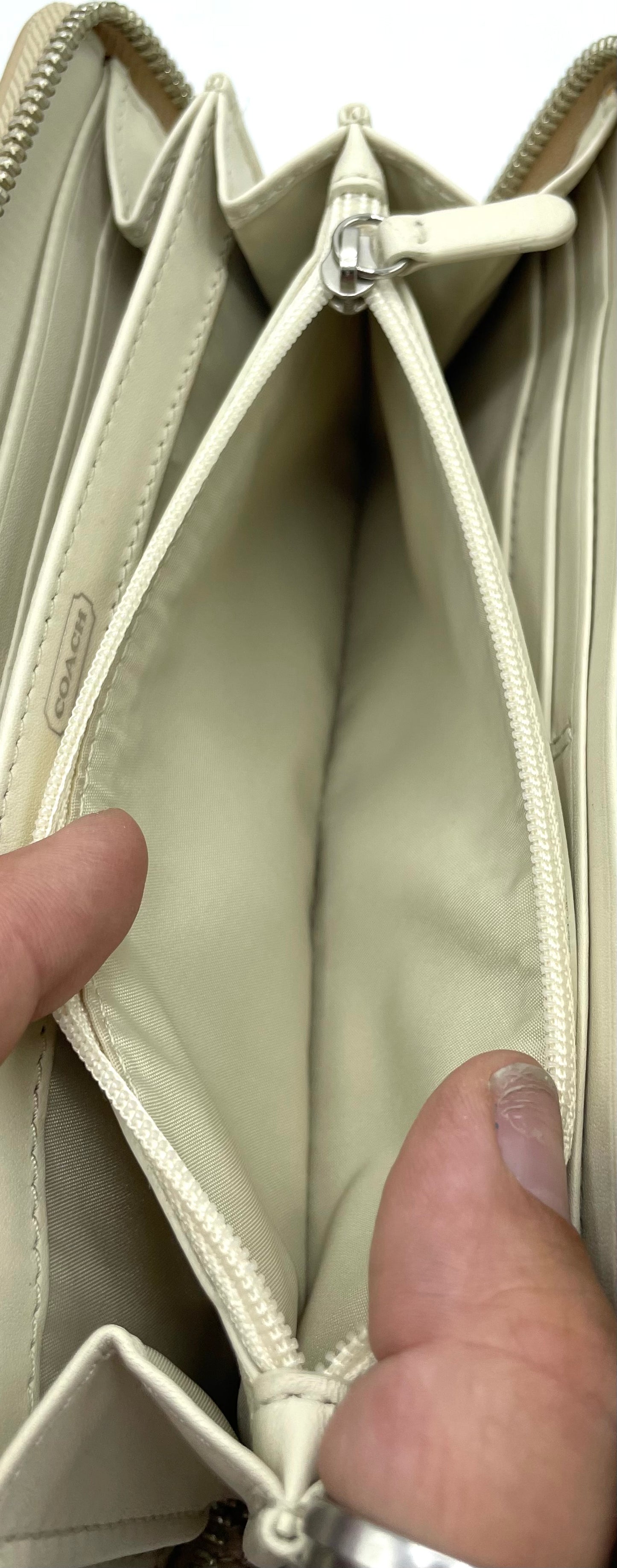 Coach Accordion Zip Wallet – Beige Iridescent Python with Pleating