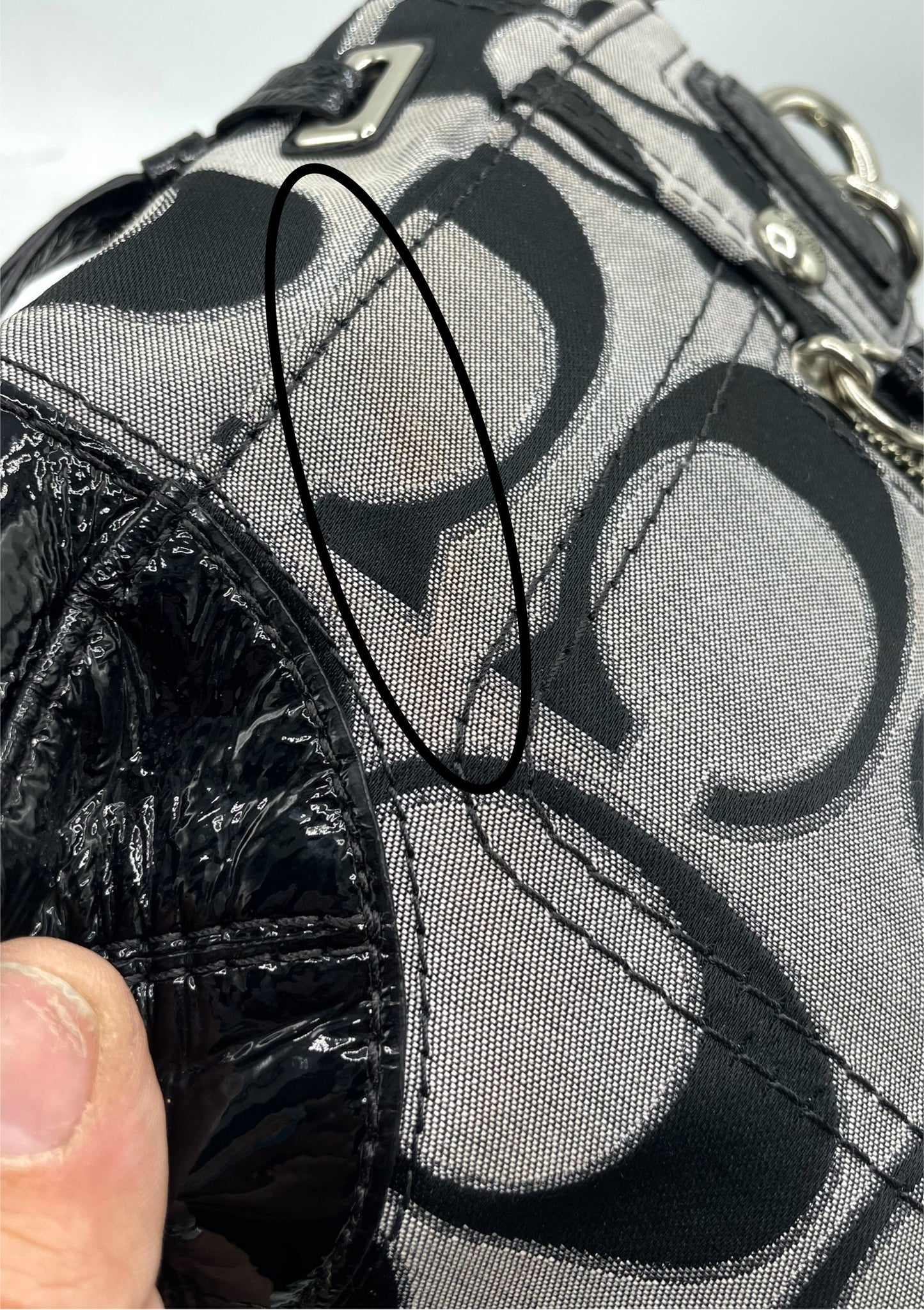 Coach Chelsea Signature Tote