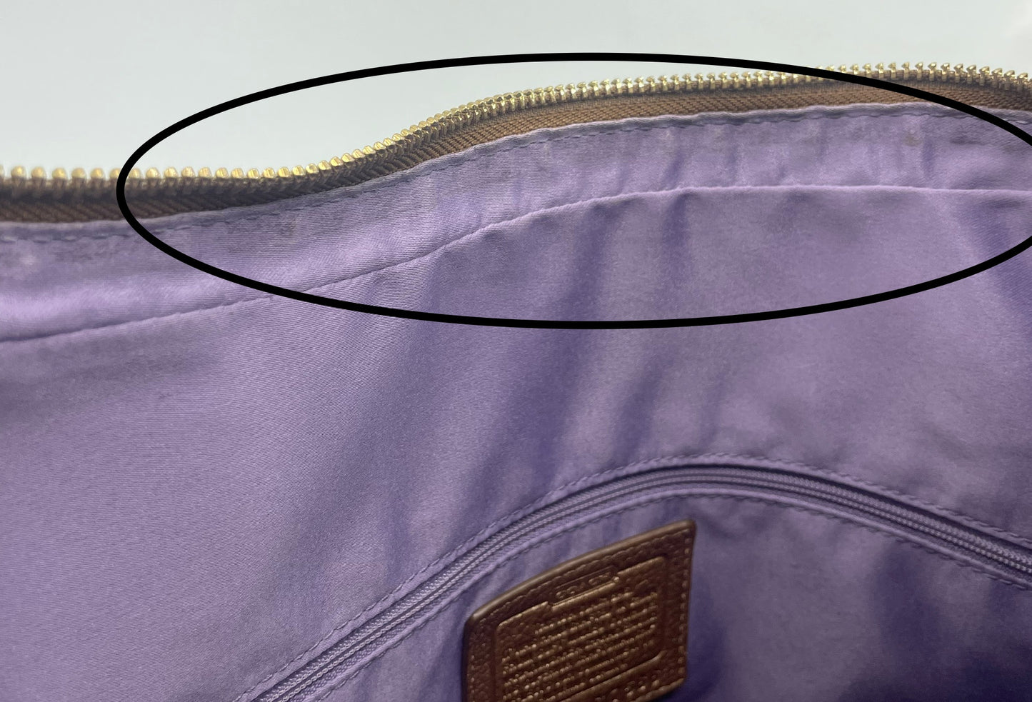 Coach Alexandra Leather Convertible Hobo
