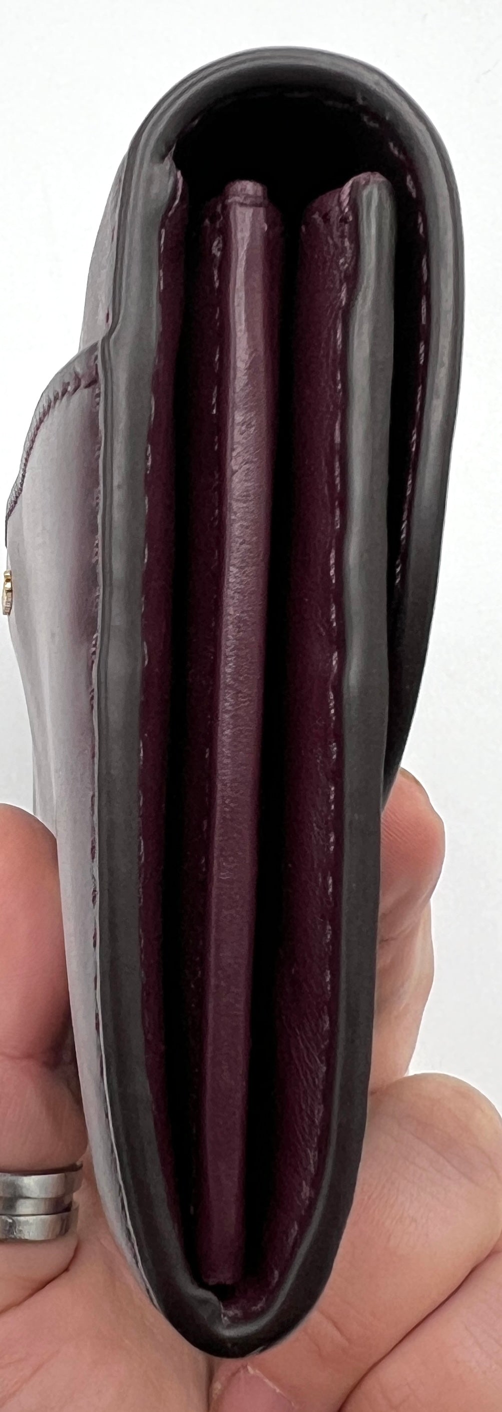 Michael Kors Carryall Wallet