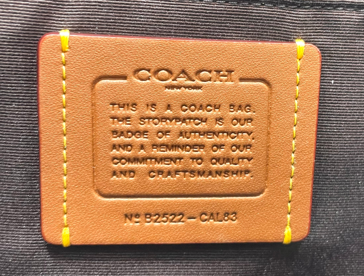 Coach Rowan Large Satchel - Signature Stripe