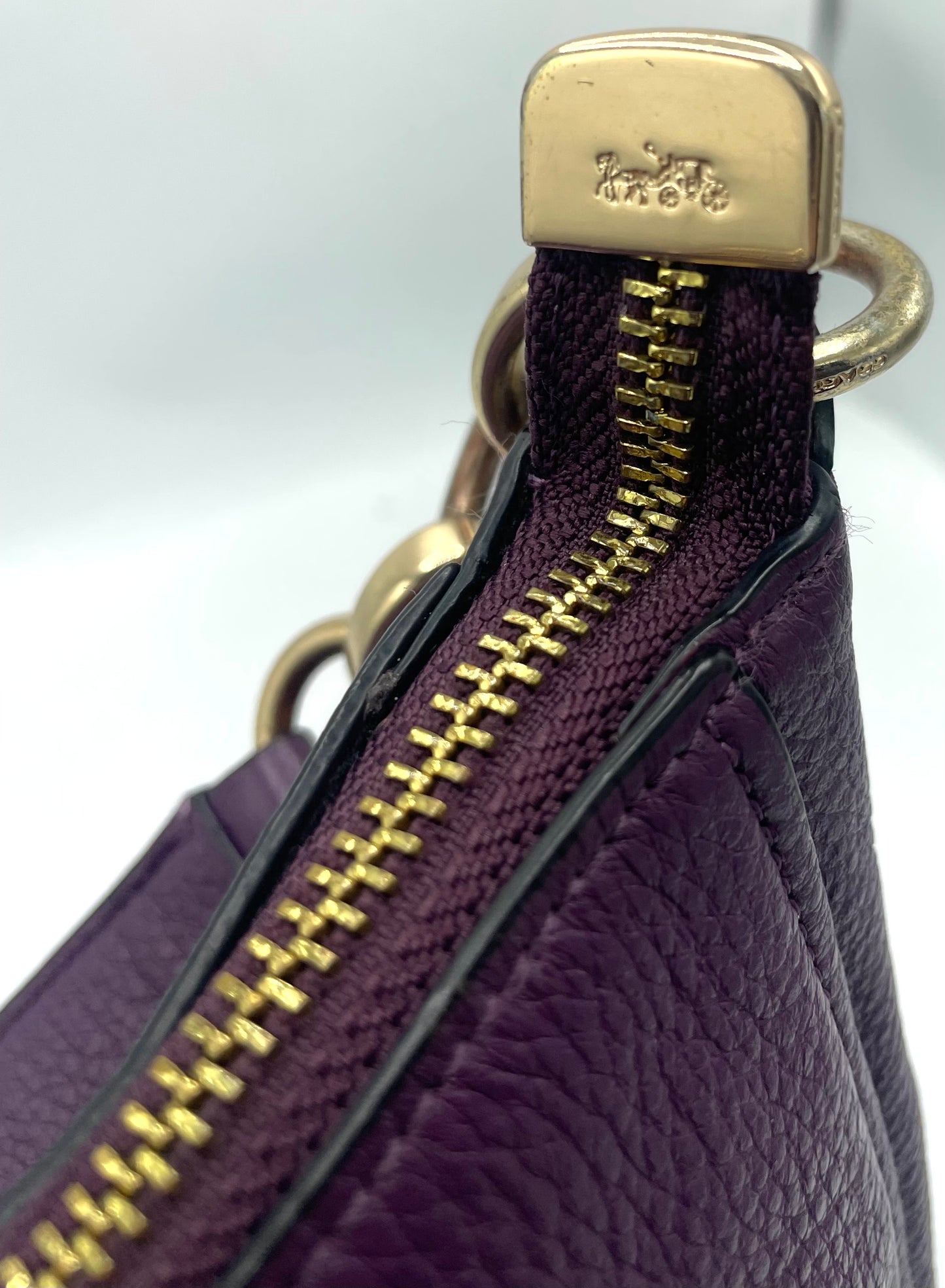 Coach Elle Hobo