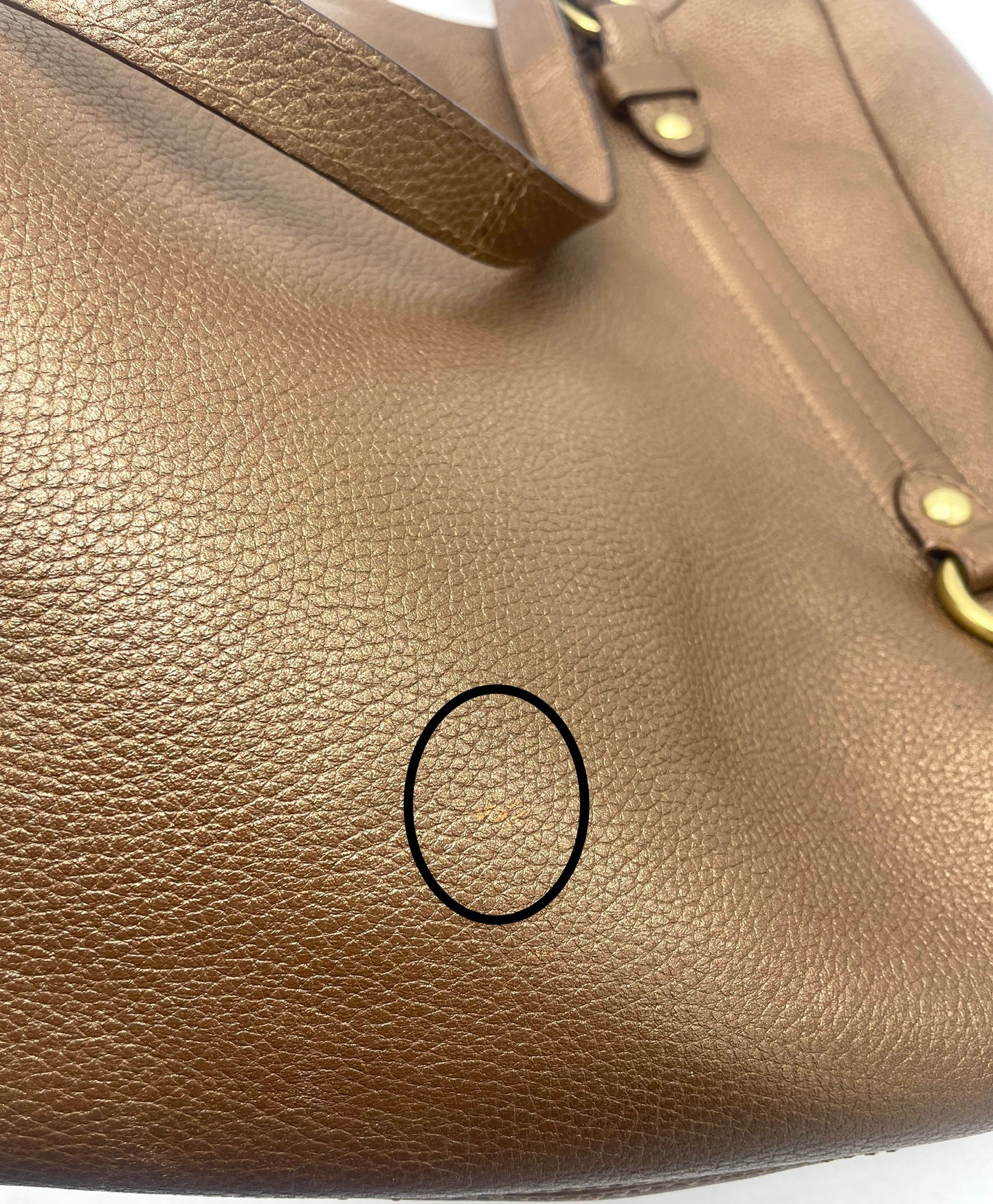 Coach Alexandra Leather Convertible Hobo