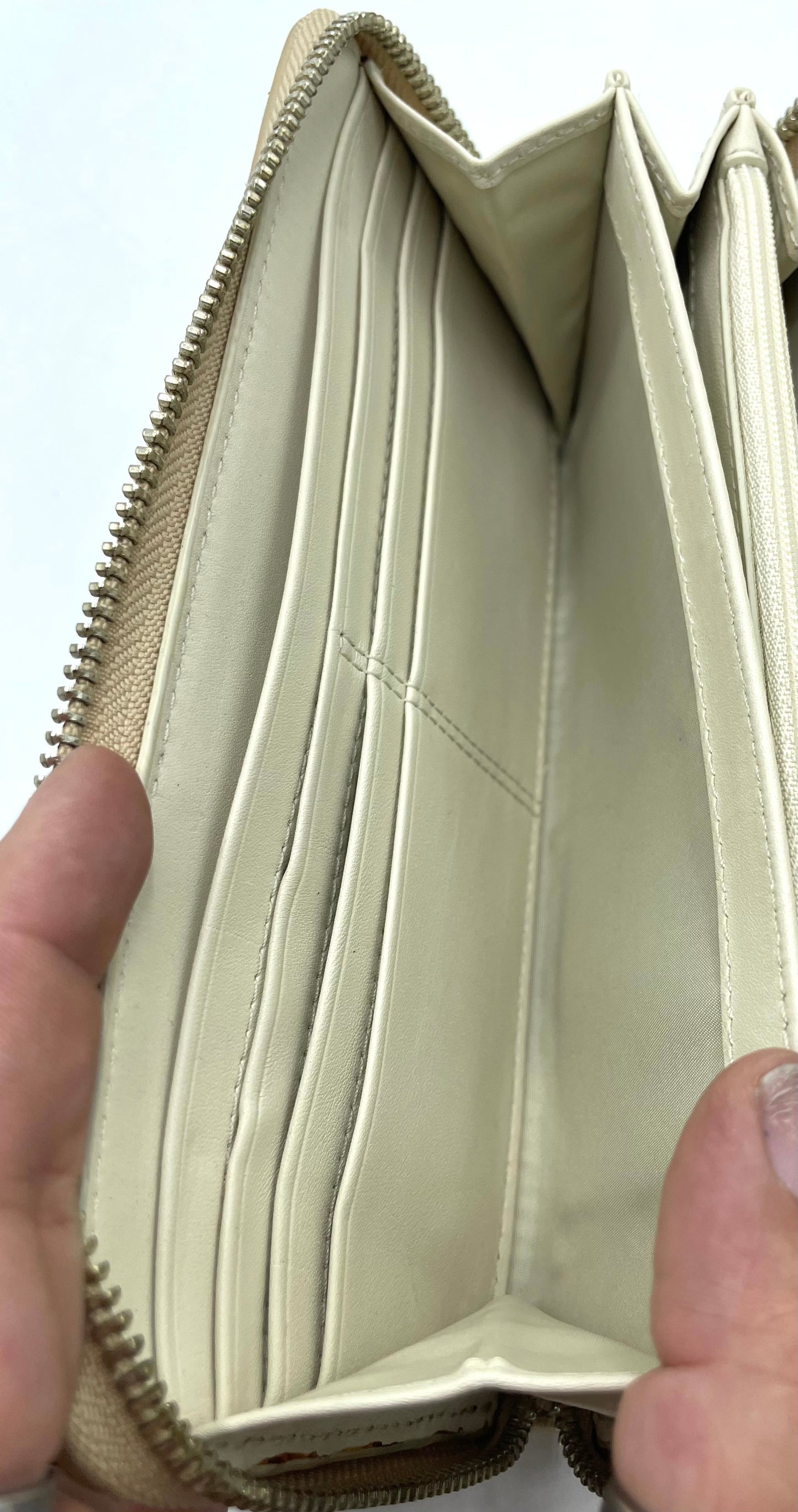 Coach Accordion Zip Wallet – Beige Iridescent Python with Pleating