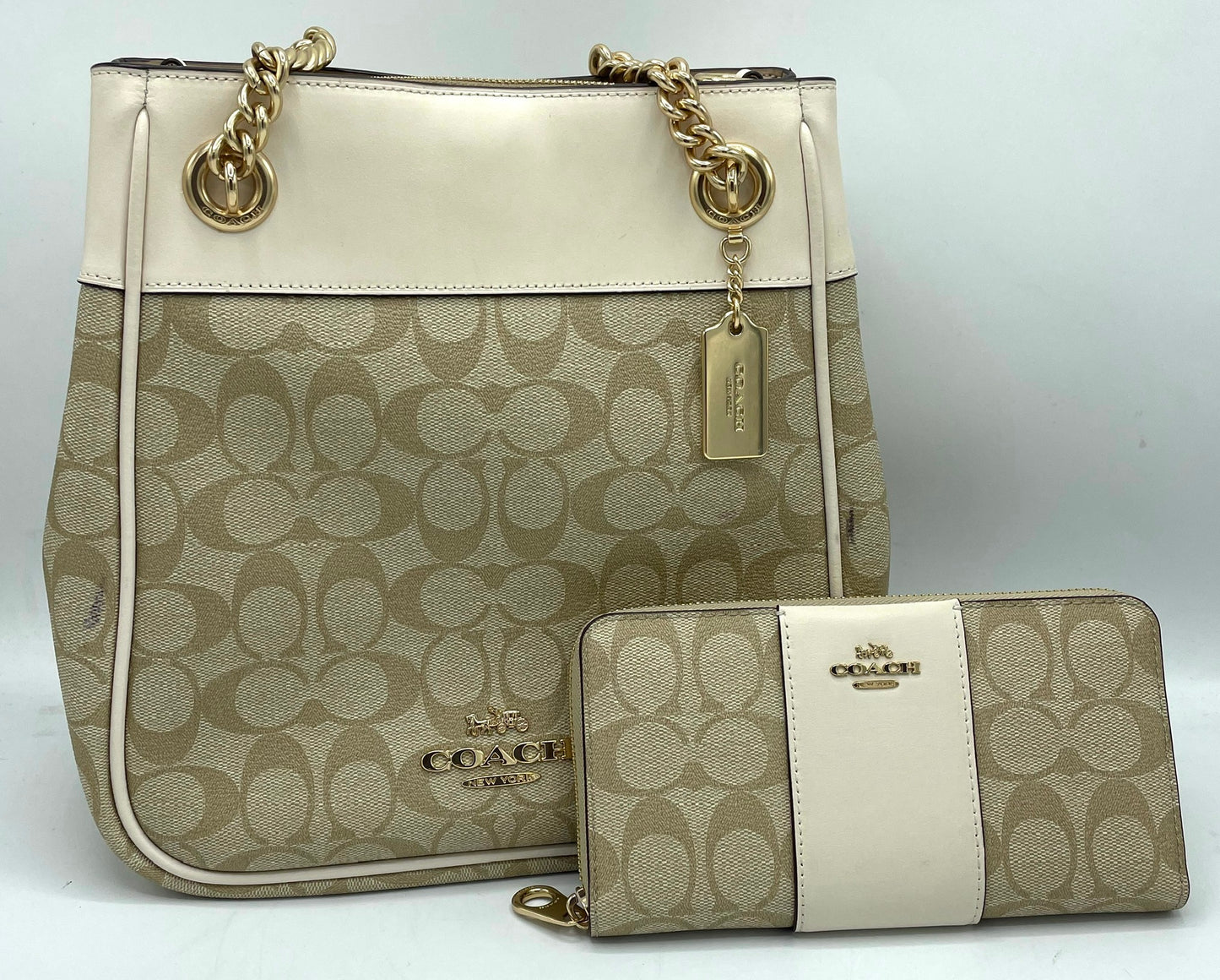 Coach Cammie Chain Bucket Bag 2 Piece Set