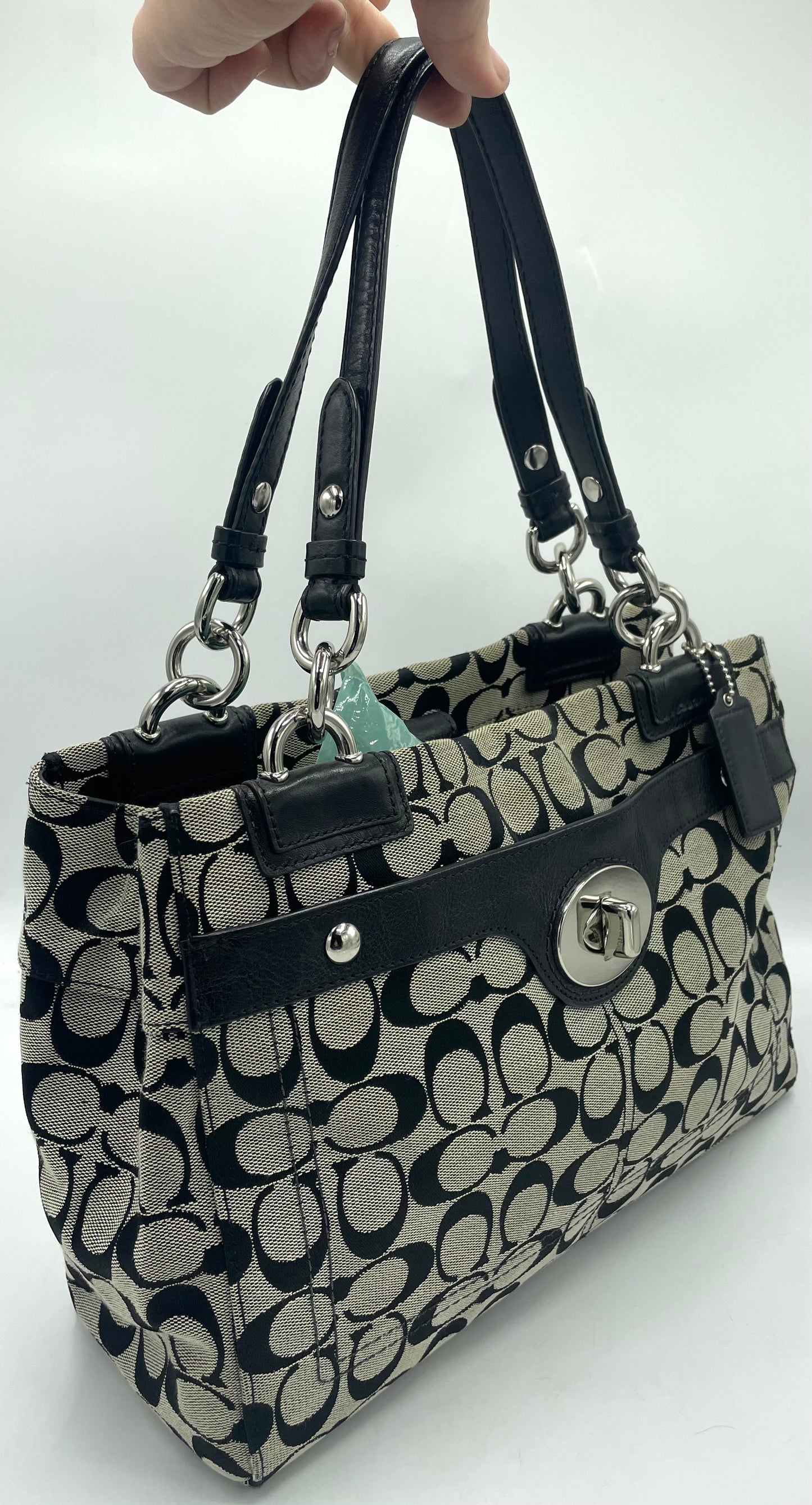Coach Signature Penelope Carryall Tote