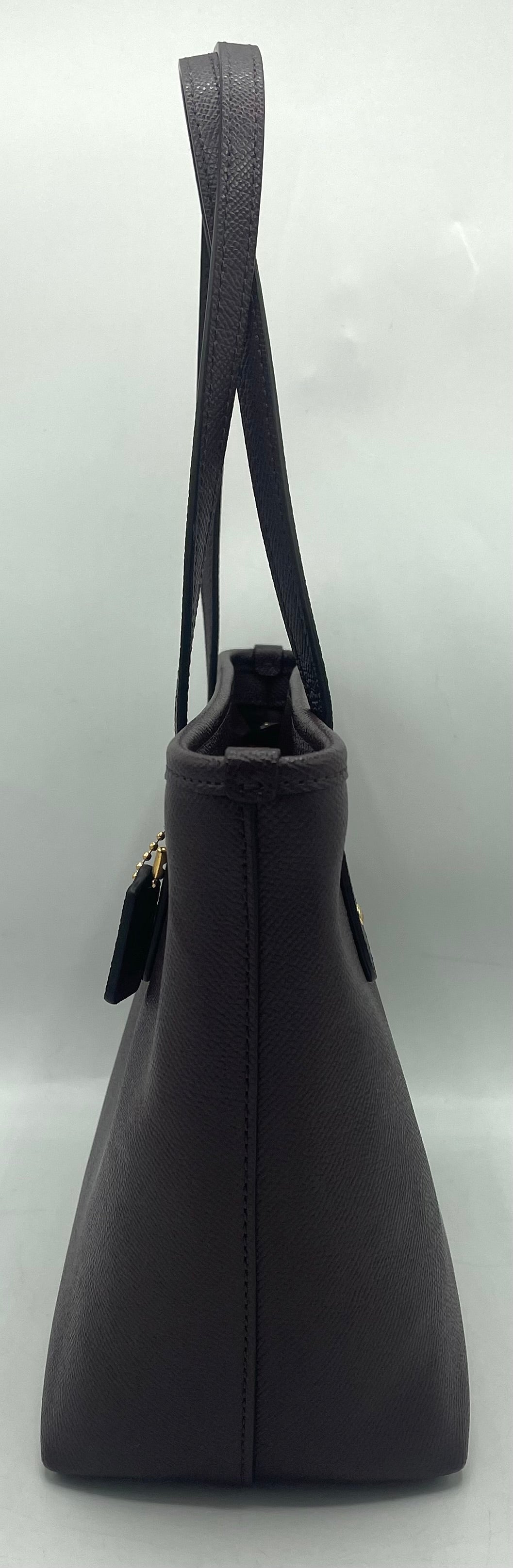 Coach Mini City Tote