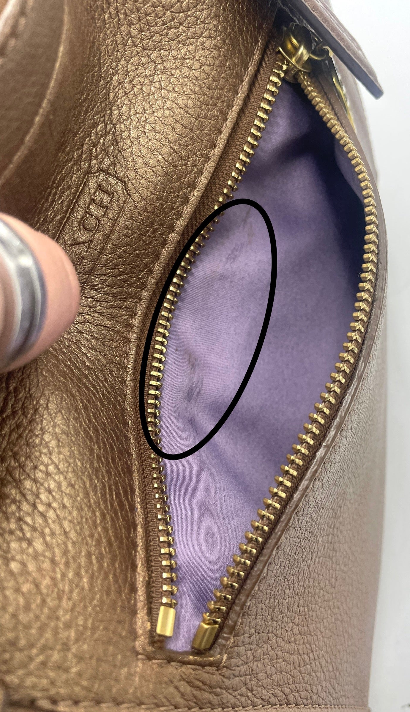 Coach Alexandra Leather Convertible Hobo