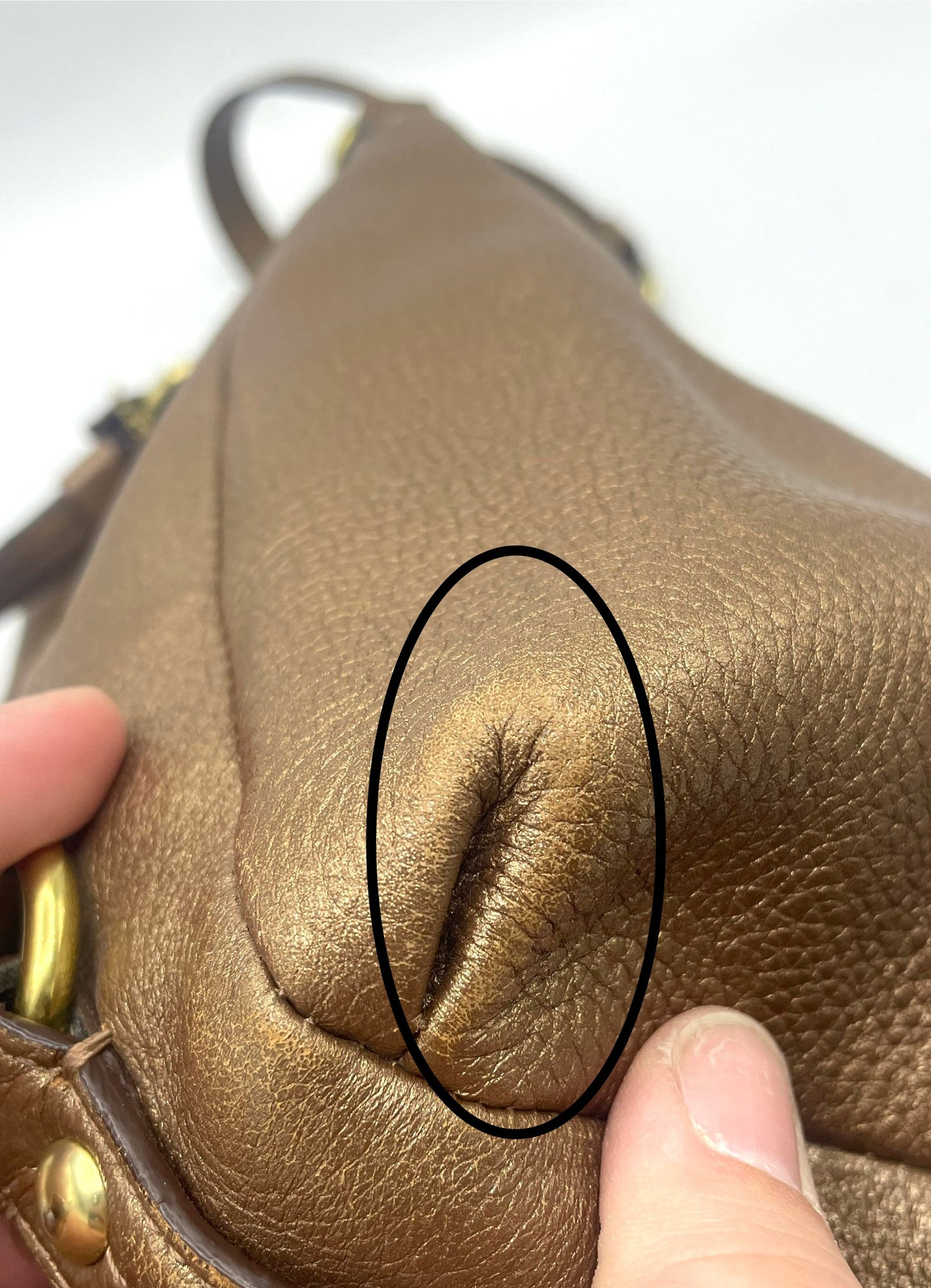 Coach Alexandra Leather Convertible Hobo