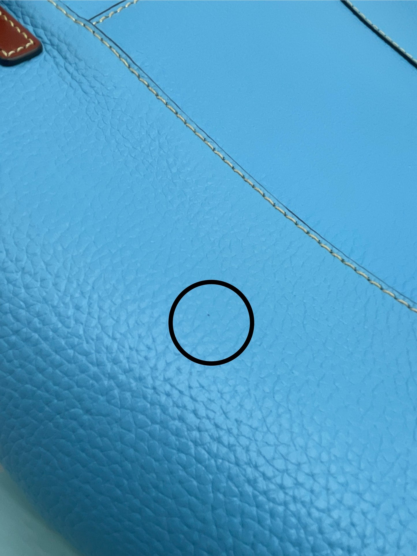 Dooney & Bourke Pebble Grain Small Lexington Tote – Caribbean Blue