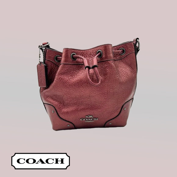 Coach Baby Mickey Drawstring Bucket Bag