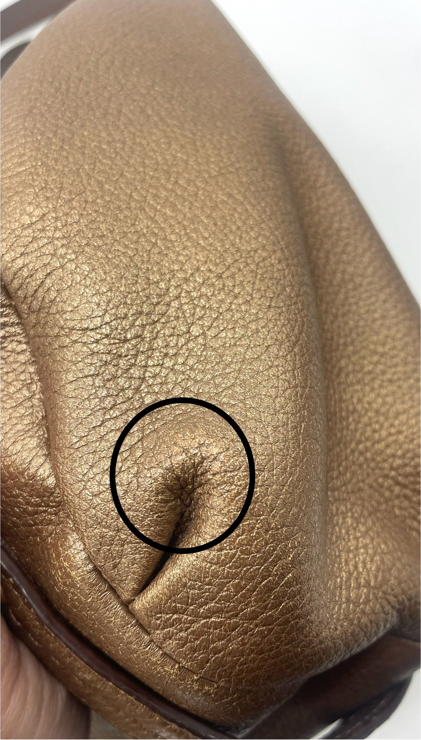 Coach Alexandra Leather Convertible Hobo