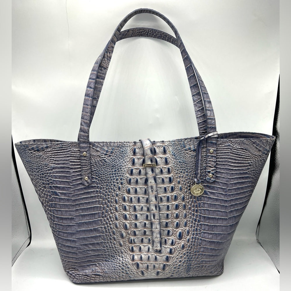 Brahmin All Day Tote