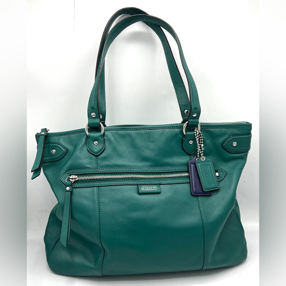 Coach Daisy Leather Emma Tote