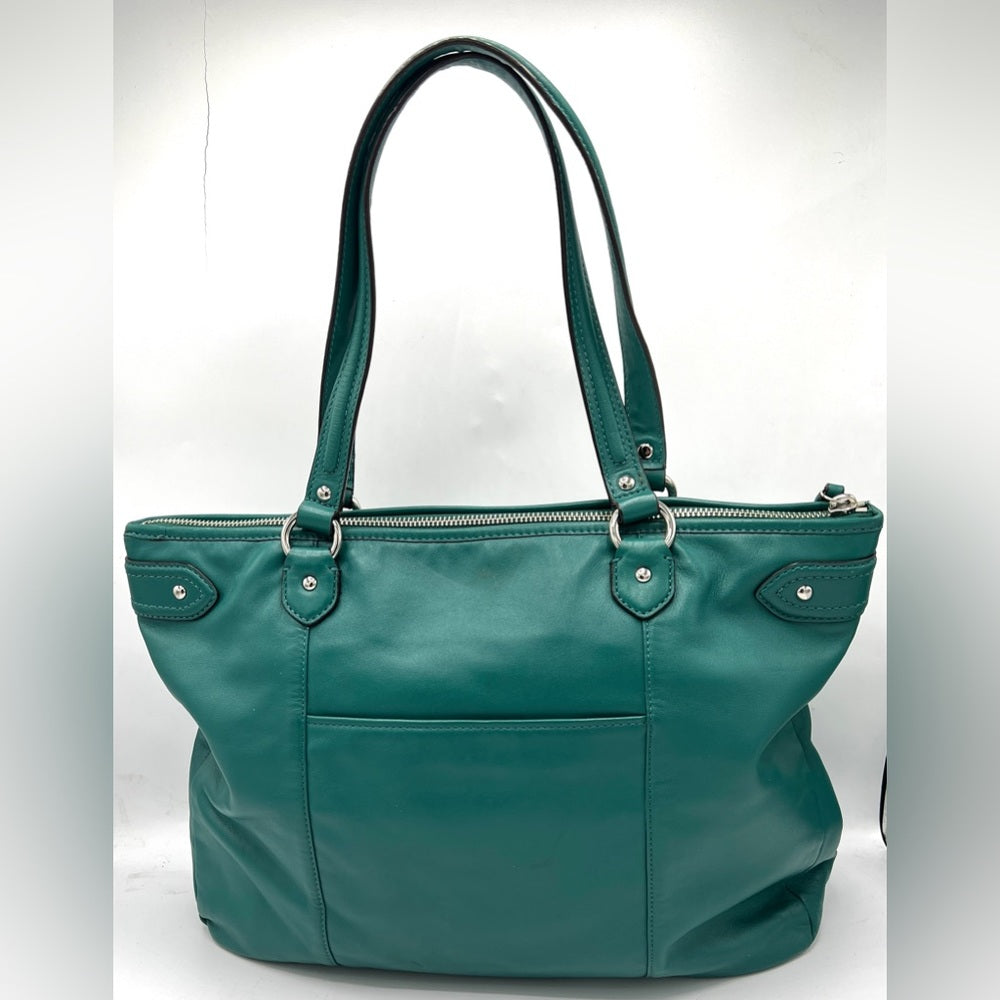 Coach Daisy Leather Emma Tote